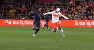21.gif
